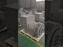 H-Klasse 10-1000 KW 3-phasiger bürstenloser Wechselstromgenerator Premium