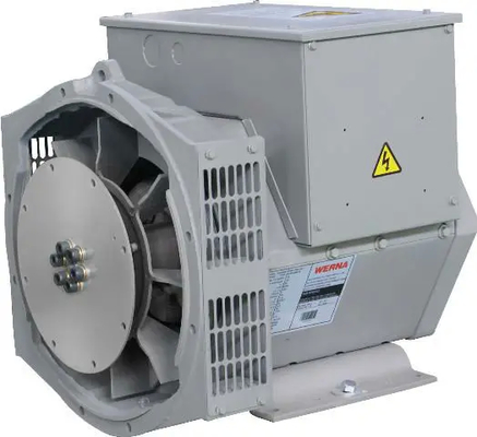 kaufen Leistungsstarker Wechselstromgenerator mit einer einzigen Phase von 2,2 kW für verschiedene Anwendungen online manufacture
