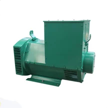kaufen Leichtgewichtiges Bürstenloses Wechselstromgenerator 2,5 kg 183 X 92 X 140 cm Isolierung H online manufacture