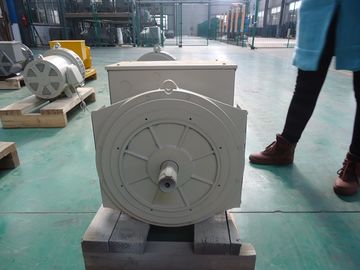 kaufen 110V | synchroner schwanzloser doppelter Generator des Lager-690V 40kw/50kva online manufacture