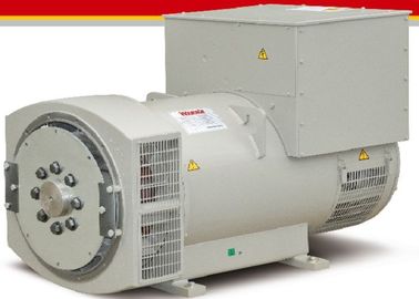 kaufen Schwanzloser Erreger 3 Phasen-Synchrongenerator online manufacture