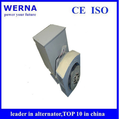 kaufen Three-Phase Induction Generators Low THF and Copper Winding Material for Sustainable Power Generation online manufacture