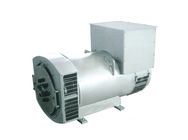 Schwanzloser Wechselstrom-dreiphasiggenerator AVR SX460 1000kw 1250kva für Generator-Satz