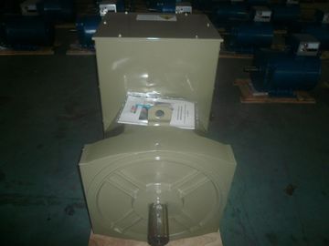 kaufen Lager-Generator des Doppelt-300KW mit einphasigem Wechselstroms der ersten Klasse AVR-IP22 online manufacture